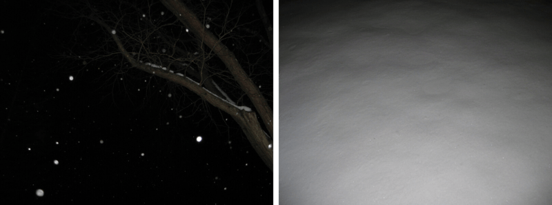 two photographs - on the left is snow falling at night, snowflakes and a tree bough caught by the flash. on the right is a view looking down at the snow on the ground
